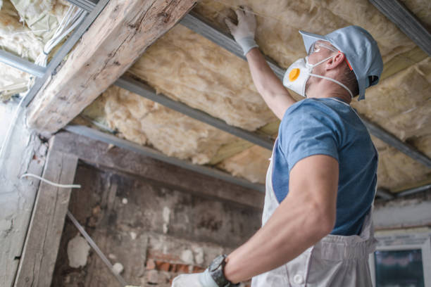 Best DIY Insulation Kits and Guidance in Pittsfield, IL