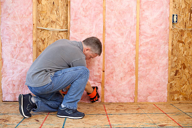 Best Specialized Insulation Services in Pittsfield, IL